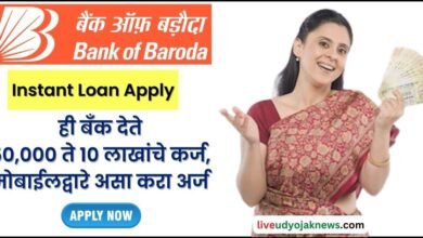 BOB Mudra Loan Apply Online