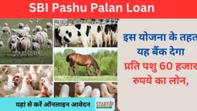 SBI Pashu Palan Loan