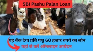 SBI Loan For Pashu Palan