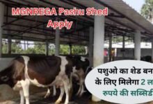 MGNREGA Pashu Shed Apply