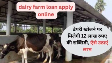 dairy farm loan apply online